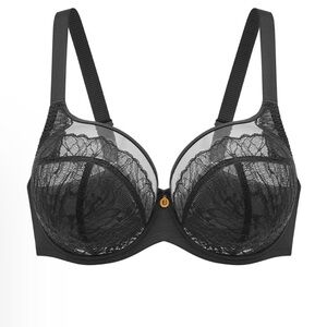 Elegant Black Lace Bra